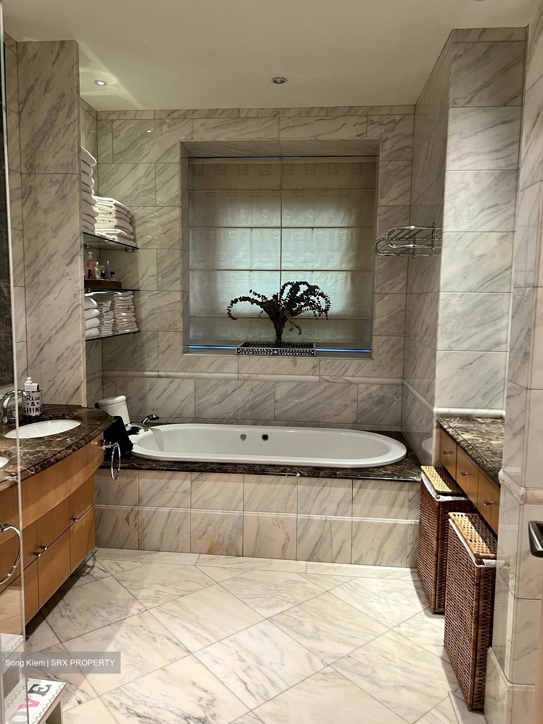 Ardmore Park (D10), Condominium #556386621